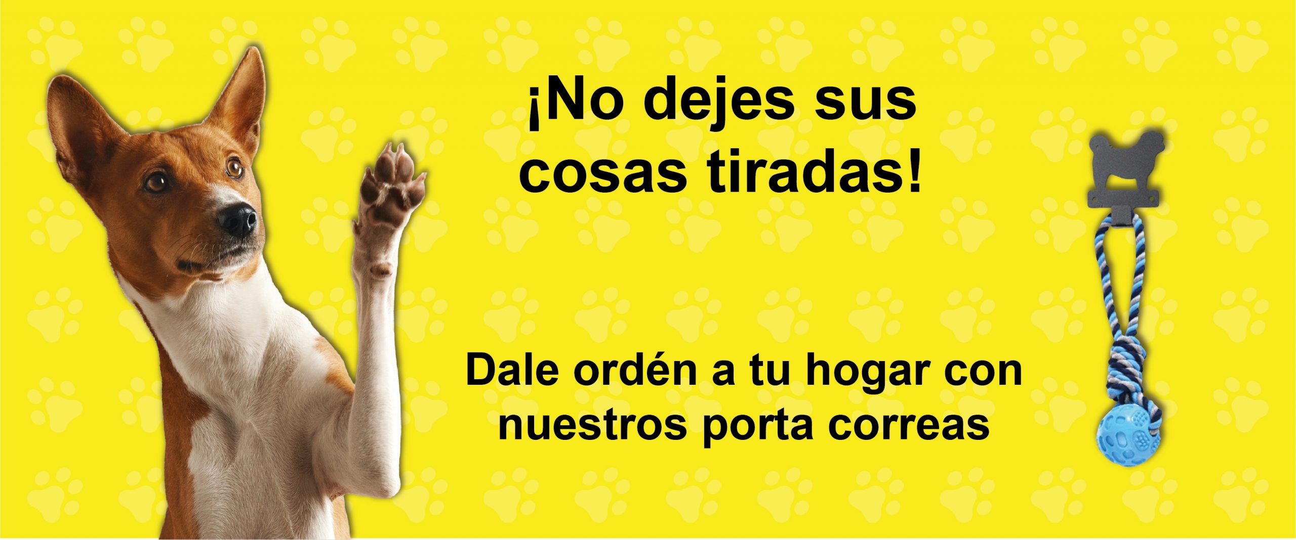 NUEVOSPORTACASCOS-03